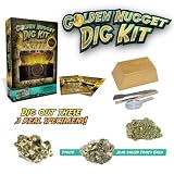 Golden Nugget Dig Kit - Excavate Real Specimens!by Discover with Dr. Cool