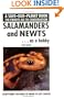 Salamanders and Newts as a Hobby (Save Our Planet)