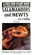 Salamanders & Newts As a Hobby (Save Our Planet)