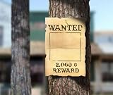 Wanted - 24