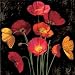 Poppy Bouquet I Art Print Poster By John Seba, 10  x 10 