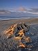 Gillespie's Beach, West Coast, South Island, New Zealand Art Photographic Poster Print by Jon Arnold, 12x16