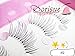 Dorisue Half Mini Corner Winged False eyelashes Cute eye lashes Fake lashes Light Volume eyelashes pack for Women's Makeup Handmade Soft 5 lashes pack