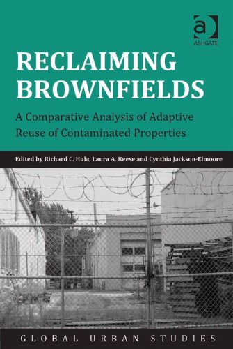 Reclaiming Brownfields: A Comparative Analysis of Adaptive Reuse of Contaminated Properties (Global Urban Studies)