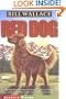 Red Dog