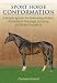 Sport Horse Conformation: Evaluating Athletic Potential in Dressage, Jumping and Eventing Prospects