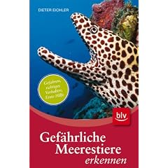 Gef�hrliche Meerestiere erkennen: Gefahren, richtiges Verhalten, Erste Hilfe