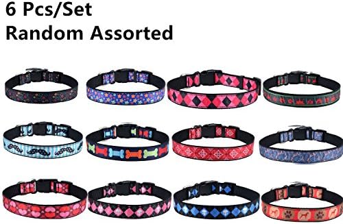 Nylon Dog Collar Personalized ,Gopaw, 6 pcs/set ,Random Assorted, Extra Small