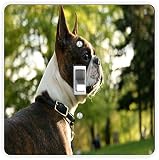 Rikki Knight Boston Terrier Dog-Single Toggle Light Switch Plate