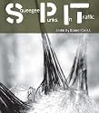 S.P.I.T.: Squeegee Punks in Traffic