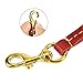 Petroad Leather Dog Leash with 6 Feet Long and 0.6 Inches Wide Large Medium Small Dogs Training and Walking
