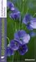350 plantes m�dicinales