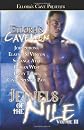 Ellora's Cavemen: Jewels of the Nile III