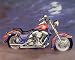 1986 Harley Davidson Motorcycle Picture Art Print