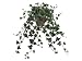 13 Hanging Summer Ivy Bush w/342 Lvs. in Paper Mache Pot Green (Pack of 4)