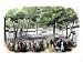 Duck Creek Methodist Episcopal Church Camp Meeting in Ohio, 1850s Giclee Poster Print, 16x12