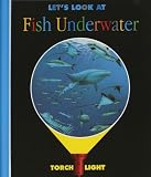 Let's Look at Fish Underwater (First Discovery/Torchlight) 画像