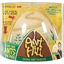 ANT HILL INS05510