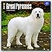 Great Pyrenees 2017 Calendar