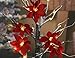 Lightshare™ UPDATE 24L LED Bonsai Snow Tree,+Free Gift:8L LED Poinsettia Artificial Decoration Light,Home/Festival/Party/Christmas,Indoor and Outdoor Use,Warm White
