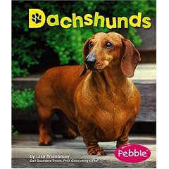 Dachshunds (Pebble Books)
