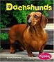 Dachshunds (Dogs Library)