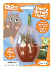 Toy: Dunecraft Dusty Desert Cacti Science Kit - Dunecraft