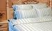 Mulburrey Silk & Egyptian Cotton Shanghai Stripe Pillow Case (Single) OXFORD Image