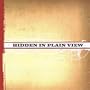 Hidden in Plain View