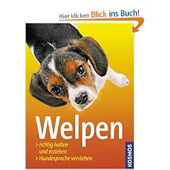 Welpen: Richtig halten und erziehen. Hundesprache verstehen