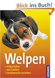 Welpen: Richtig halten und erziehen. Hundesprache verstehen