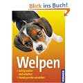 Welpen: Richtig halten und erziehen. Hundesprache verstehen