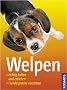 Welpen: Richtig halten und erziehen. Hundesprache verstehen