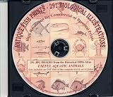 Antique Fish Prints: 291 Printable Highly-Detailed Etchings of Aquatic Animals