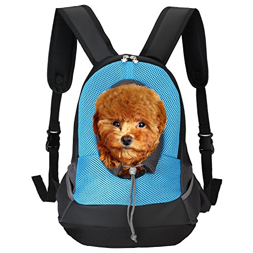 Pet Carrier, Itery Back Front Pack Dog Cat Travel Bag Pet Mesh Backpack