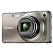 Sony Cybershot DSC-W290 bronze