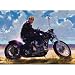Harley-Davidson : Put Your Money On Gloss Black Jigsaw Puzzle 500pc