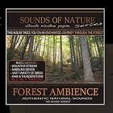 Forest Ambience