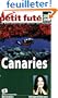 Petit Fut� Iles Canaries