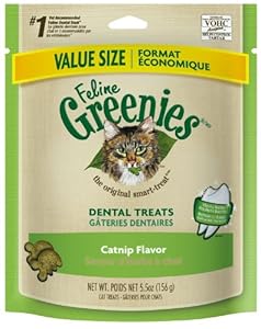GREENIES Feline Dental Treat for Cats, Catnip Flavor, 5.5-Ounce