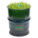 Kitchen & Housewares : Tribest Automatic Sprouter