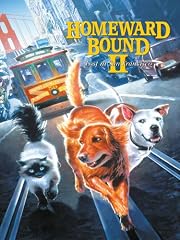 play video on Amazon Instant Video