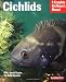 Barron's Educational Series