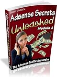 51wb6J0U%2B L. SL160  Buy Free Adsense