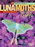 Luna Moths (Insect World)