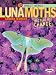 Luna Moths (Insect World)