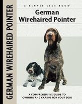 German Wirehaired Pointer