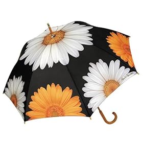  Daisy Chain - Fashion Print 48 Inch Arc Stick Umbrella