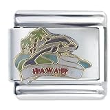 Hawaii Dolphin Italian Charm Bracelet