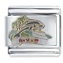 Hawaii Dolphin Italian Charm